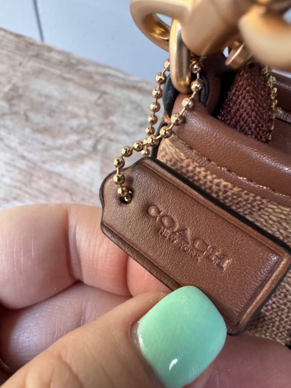 Coach Peanuts Snoopy Woodstock Mini Satchel Crossbody Signature Canvas Bag - Picture 4 of 13